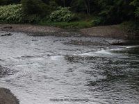 COOKS FALLS DELAWARE COUNTY CENTRAL NEW YORK 8-23-2014_00008.JPG