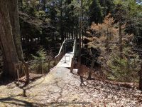 REXFORD FALLS CHENANGO COUNTY CENTRAL NEW YORK 4-6-2014_00003.JPG