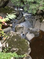 HANGING ROCK FALLS ULSTER COUNTY SOUTHERN NEW YORK 8-23-2014_00004.JPG