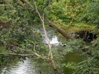 NAPANOCH FALLS ULSTER COUNTY SOUTHERN NEW YORK 8-23-2014_00002.JPG