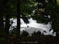 NAPANOCH FALLS ULSTER COUNTY SOUTHERN NEW YORK 8-23-2014_00003.JPG