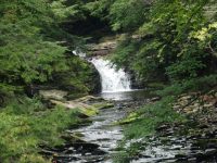 PARKSVILLE FALLS SULLIVAN COUNTY SOUTHERN NEW YORK 8-23-2014_00004.JPG