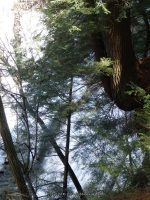 REXFORD FALLS CHENANGO COUNTY CENTRAL NEW YORK 4-6-2014_00009.JPG