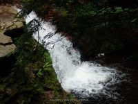 PARKSVILLE FALLS SULLIVAN COUNTY SOUTHERN NEW YORK 8-23-2014_00007.JPG