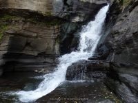 HARDENBERGH FALLS GREEN COUNTY SOUTHERN NEW YORK 8-10-2014_00025.JPG