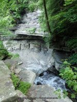 FILMORE beginning to bridge 1 cow shed_00015.JPG