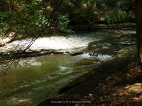 FILMORE beginning to bridge 1 cow shed_00017.JPG