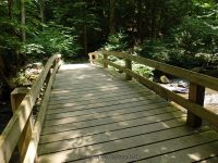 FILMORE beginning to bridge 1 cow shed_00018.JPG