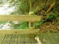 FILMORE beginning to bridge 1 cow shed_00019.JPG