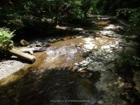 FILMORE bridge 1 to bridge 2_00002.JPG