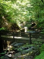 FILMORE bridge 4 to bridge 5_00019.JPG