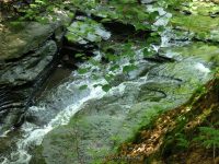 FILMORE bridge 6 to bridge 7 dalibarda_00008.JPG