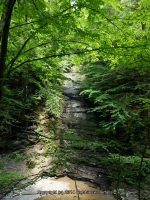 FILMORE bridge 6 to bridge 7 dalibarda_00013.JPG