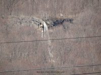 THE CASCADES MADISON COUNTY CENTRAL NEW YORK 4-6-2014_00001.JPG