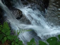 FILMORE bridge 7 to 8 upper pinnacle_00016.JPG