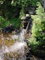 FILMORE dam and hogsback falls_00010.JPG