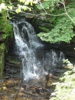 FILMORE dam and hogsback falls_00014.JPG