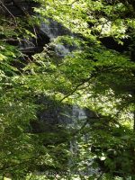 FILMORE dam and hogsback falls_00016.JPG