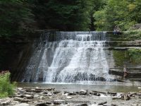 STONEY BROOK  MIDDLE SECTION STEUBEN WESTERN NY 8-11-2013_00002.JPG STONEY BROOK  MIDDLE SECTION STEUBEN WESTERN NY 8-11-2013_00002.JPG
