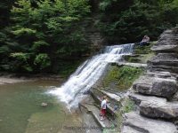 STONEY BROOK MIDDLE SECTION STEUBEN WESTERN NY 8-11-2013_00008.JPG