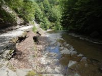 STONEY BROOK UPPER SECTION STEUBEN WESTERN NY 8-11-2013_00005.JPG