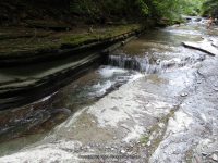 STONEY BROOK UPPER SECTION STEUBEN WESTERN NY 8-11-2013_00011.JPG