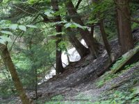 STONEY BROOK UPPER SECTION STEUBEN WESTERN NY 8-11-2013_00018.JPG