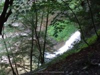 STONEY BROOK UPPER SECTION STEUBEN WESTERN NY 8-11-2013_00026.JPG