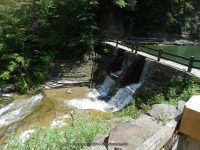 STONEY BROOK LOWER SECTION STEUBEN WESTERN NY 8-11-2013_00002.JPG