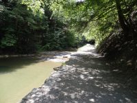 STONEY BROOK LOWER SECTION STEUBEN WESTERN NY 8-11-2013_00005.JPG