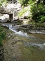 STONEY BROOK LOWER SECTION STEUBEN WESTERN NY 8-11-2013_00018.JPG