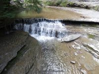 STONEY BROOK LOWER SECTION STEUBEN WESTERN NY 8-11-2013_00024.JPG