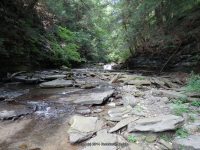 SUGAR CREEK GLEN MIDDLE SECTION LIVINGSTON WESTERN NY 8-11-2013_00001.JPG