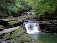 SUGAR CREEK GLEN MIDDLE SECTION LIVINGSTON WESTERN NY 8-11-2013_00002.JPG