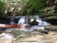 SUGAR CREEK GLEN MIDDLE SECTION LIVINGSTON WESTERN NY 8-11-2013_00005.JPG