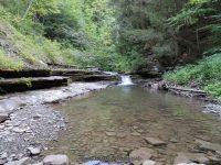 SUGAR CREEK GLEN MIDDLE SECTION LIVINGSTON WESTERN NY 8-11-2013_00011.JPG