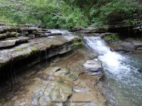 SUGAR CREEK GLEN MIDDLE SECTION LIVINGSTON WESTERN NY 8-11-2013_00013.JPG