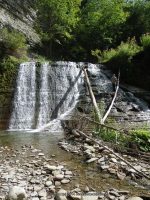 SUGAR CREEK GLEN UPPER SECTION LIVINGSTON WESTERN NY 8-11-2013_00005.JPG