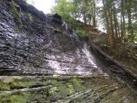 SUGAR CREEK GLEN UPPER SECTION LIVINGSTON WESTERN NY 8-11-2013_00009.JPG