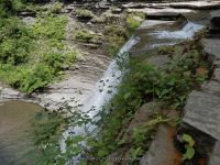 STONEY BROOK LOWER SECTION STEUBEN WESTERN NY 8-11-2013_00042.JPG