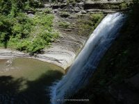STONEY BROOK LOWER SECTION STEUBEN WESTERN NY 8-11-2013_00046.JPG