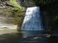 STONEY BROOK LOWER SECTION STEUBEN WESTERN NY 8-11-2013_00050.JPG