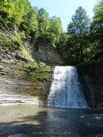 STONEY BROOK LOWER SECTION STEUBEN WESTERN NY 8-11-2013_00051.JPG