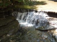 STONEY BROOK LOWER SECTION STEUBEN WESTERN NY 8-11-2013_00055.JPG