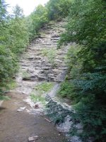 STONEY BROOK LOWER SECTION STEUBEN WESTERN NY 8-11-2013_00063.JPG