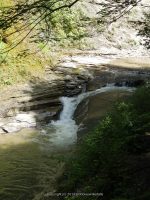 STONEY BROOK LOWER SECTION STEUBEN WESTERN NY 8-11-2013_00068.JPG