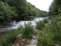 WISCOY FALLS MIDDLE SECTION ALLEGANY COUNTY WESTERN NEW YORK 8-11-2013_00009.JPG