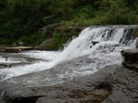 WISCOY FALLS MIDDLE SECTION ALLEGANY COUNTY WESTERN NEW YORK 8-11-2013_00010.JPG