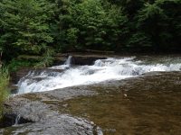 WISCOY FALLS UPPER SECTION ALLEGANY COUNTY WESTERN NEW YORK 8-11-2013_00011.JPG