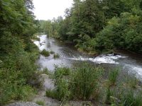 WISCOY FALLS UPPER SECTION ALLEGANY COUNTY WESTERN NEW YORK 8-11-2013_00013.JPG
